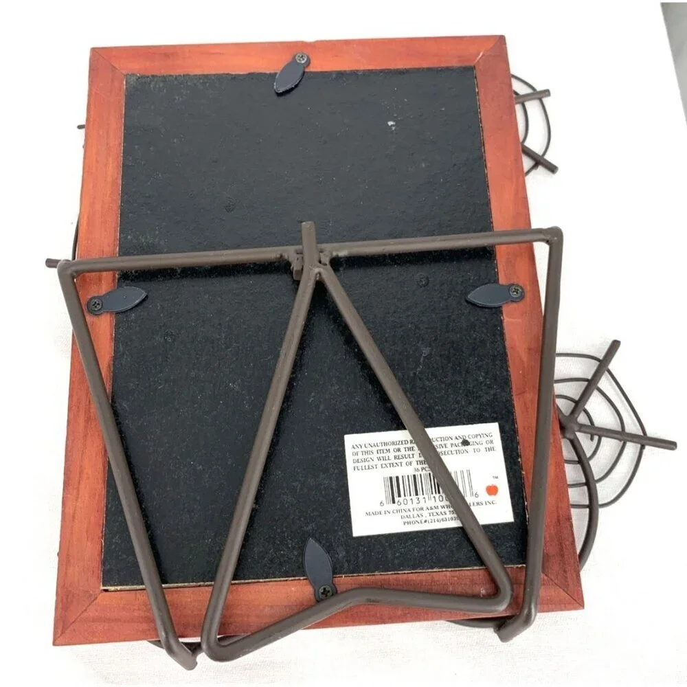 Spiders Spideweb Picture Frame 5 x 7